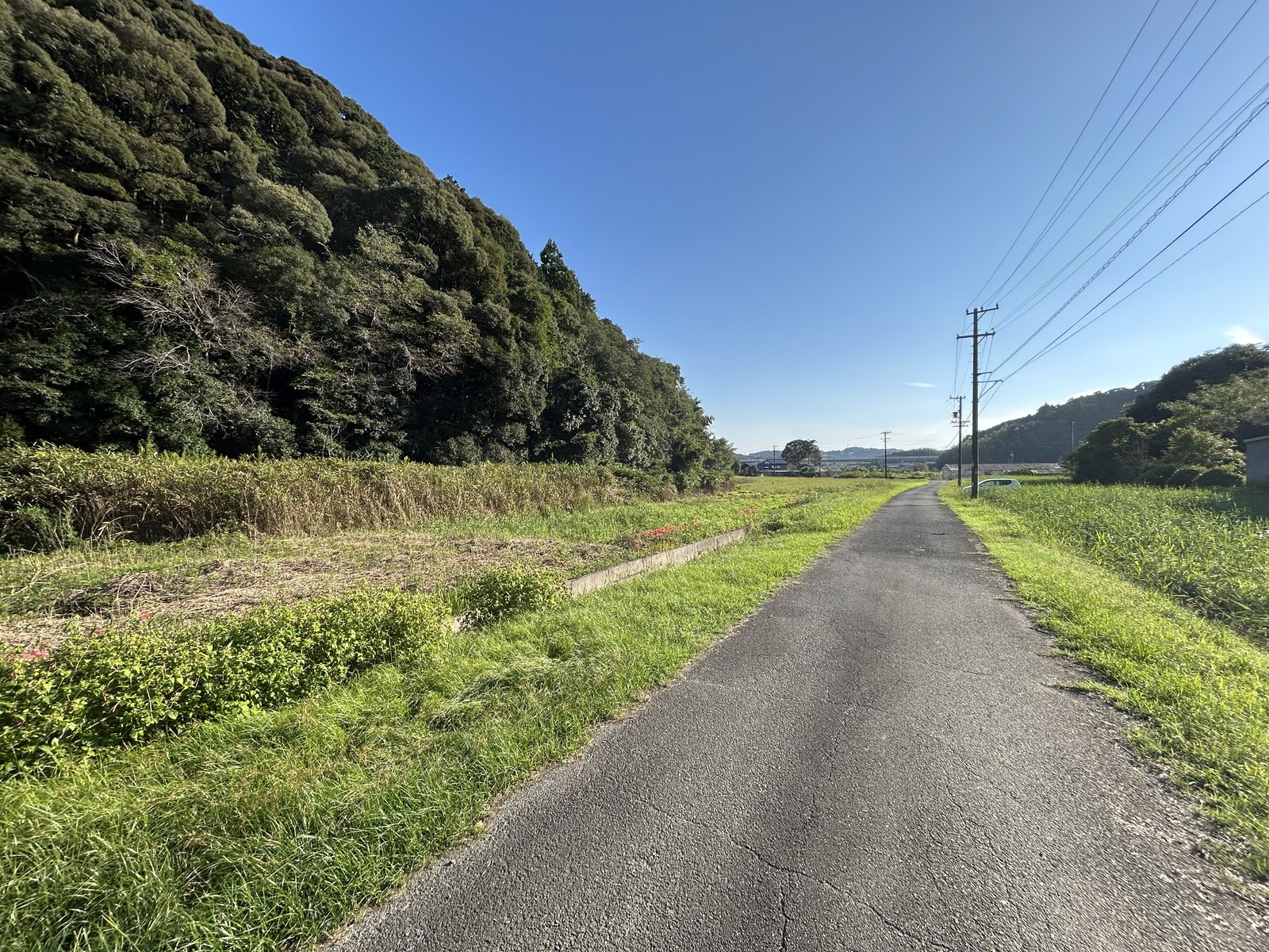山のふもとに続く、田畑沿いの細い舗装道路